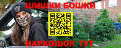 a pvp Камышлов
