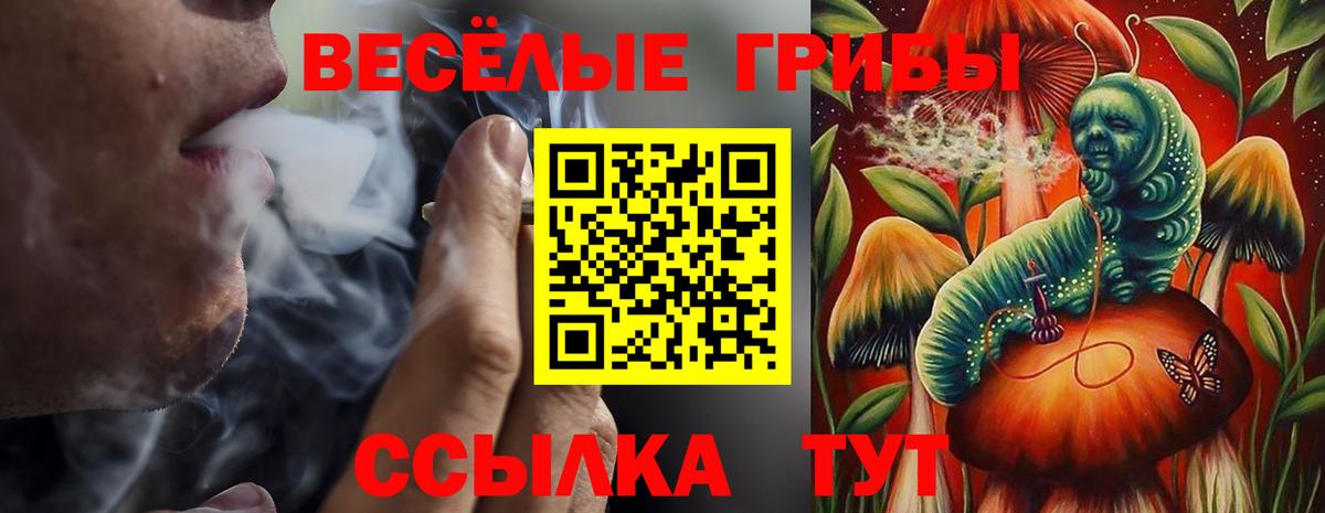 Галлюциногенные грибы мухоморы  Вход с VPN  Красногорск 